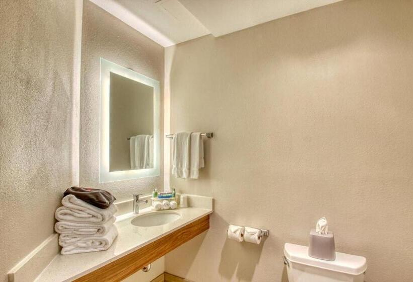 غرفة قياسية لذوى الاحتياجات الخاصة, Holiday Inn Express Hotel & Suites Oshkosh   State Route 41, An Ihg