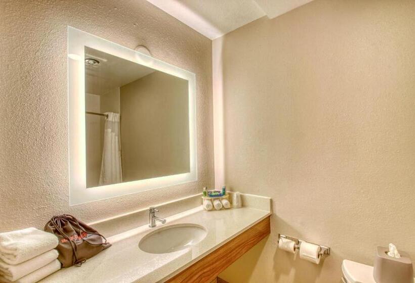 Люкс Адаптированный для Инвалидов, Holiday Inn Express Hotel & Suites Oshkosh   State Route 41, An Ihg
