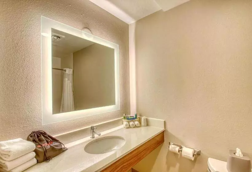 سوئیت برای معلولان, Holiday Inn Express Hotel & Suites Oshkosh   State Route 41, An Ihg