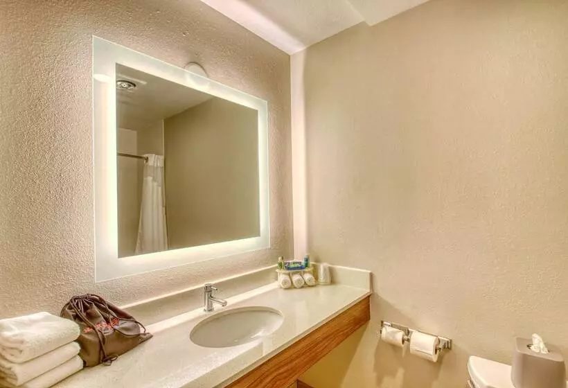سوئیت برای معلولان, Holiday Inn Express Hotel & Suites Oshkosh   State Route 41, An Ihg