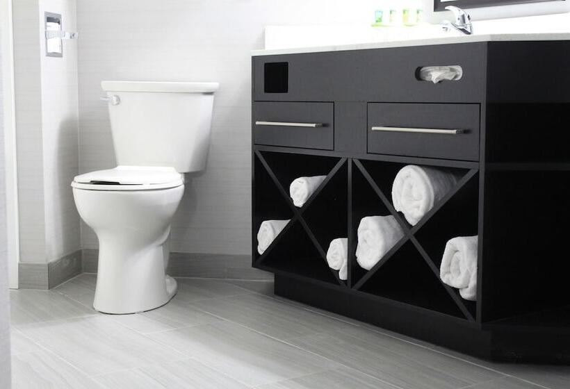 غرفة قياسية, Holiday Inn Express Janesville I 90 & Us Highway 14, An Ihg