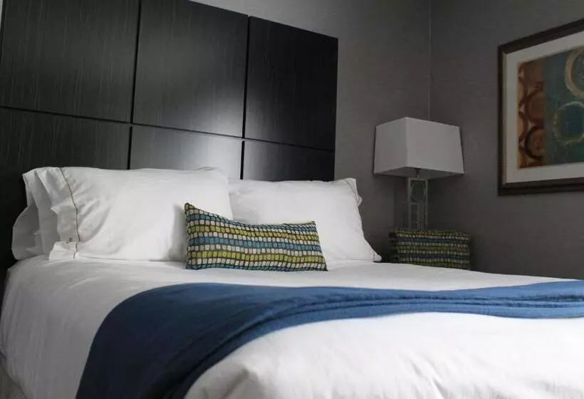 キングサイズベッドのスタンダードルーム, Holiday Inn Express Janesville I 90 & Us Highway 14, An Ihg