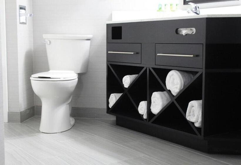 جناح سرير كينج, Holiday Inn Express Janesville I 90 & Us Highway 14, An Ihg