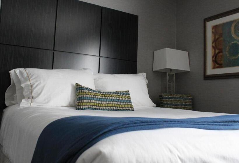 غرفة قياسية سرير كينج لذوى الإحتياجات الخاصة, Holiday Inn Express Janesville I 90 & Us Highway 14, An Ihg