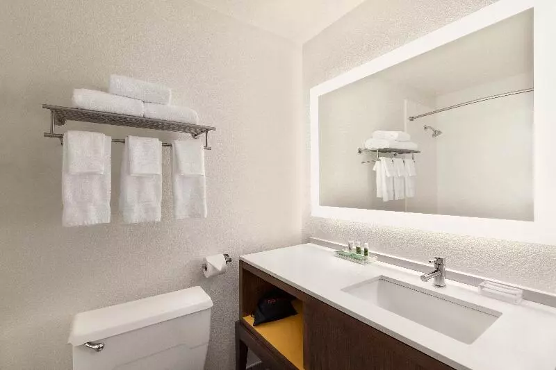 اتاق استاندارد با تخت بزرگ, Holiday Inn Houston Intercontinental Airport, An Ihg