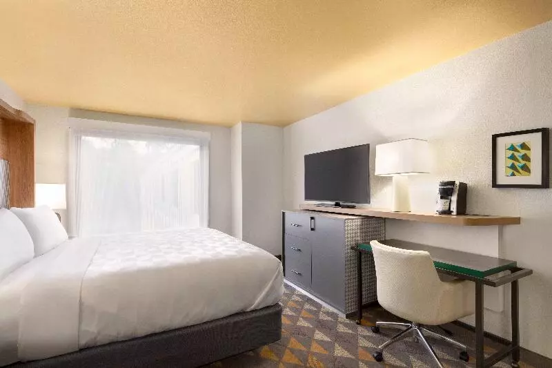 اتاق استاندارد با تخت بزرگ, Holiday Inn Houston Intercontinental Airport, An Ihg