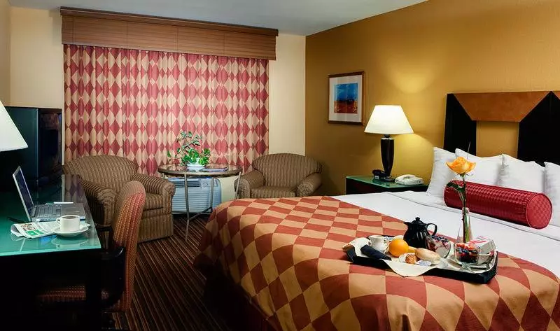 اتاق استاندارد با تخت بزرگ, Holiday Inn Houston Intercontinental Airport, An Ihg