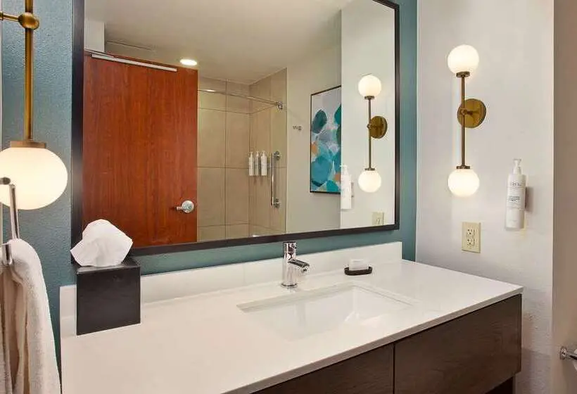 キングサイズベッドのスイートルーム, Holiday Inn Rapid City   Rushmore Plaza, An Ihg