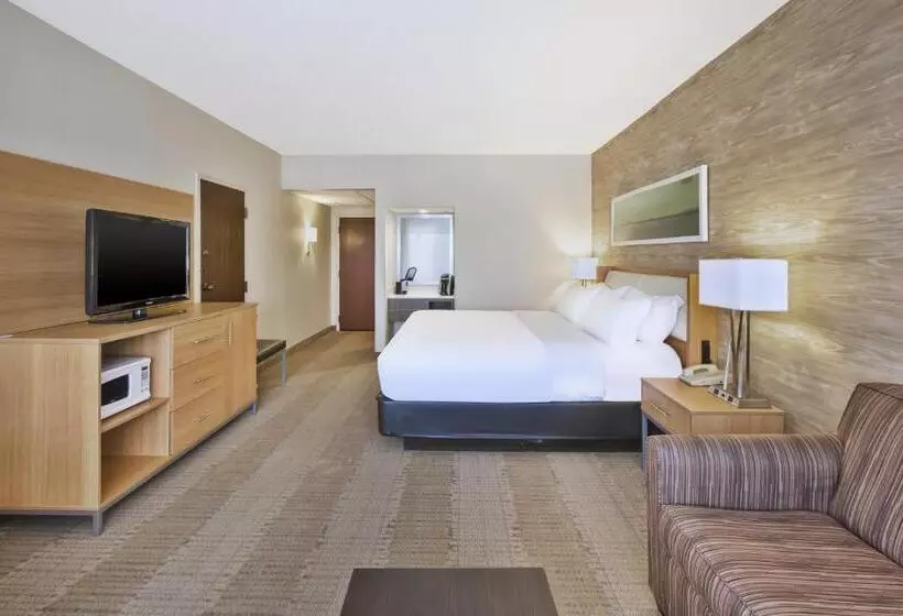 اتاق استاندارد با تخت بزرگ, Holiday Inn Rapid City Rushmore Plaza, An Ihg