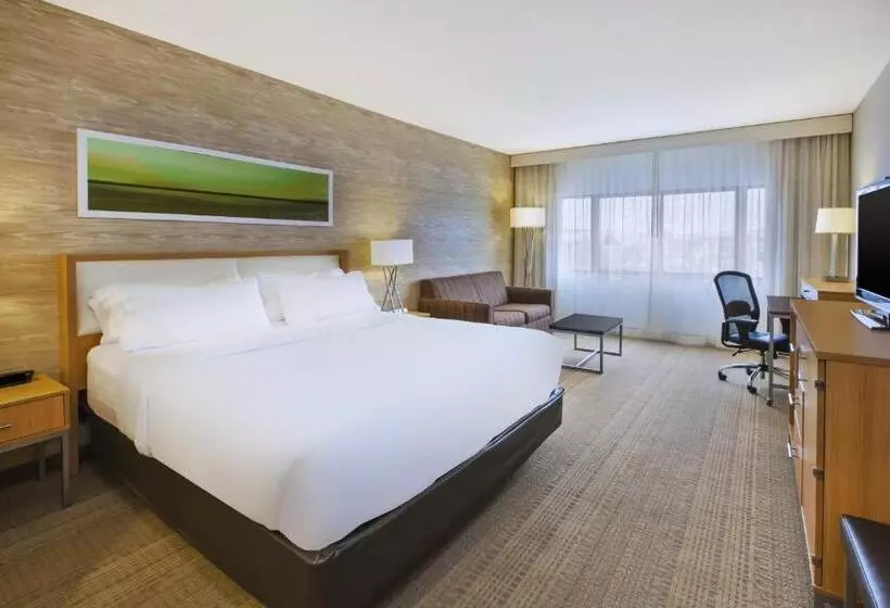 اتاق استاندارد با تخت بزرگ, Holiday Inn Rapid City Rushmore Plaza, An Ihg