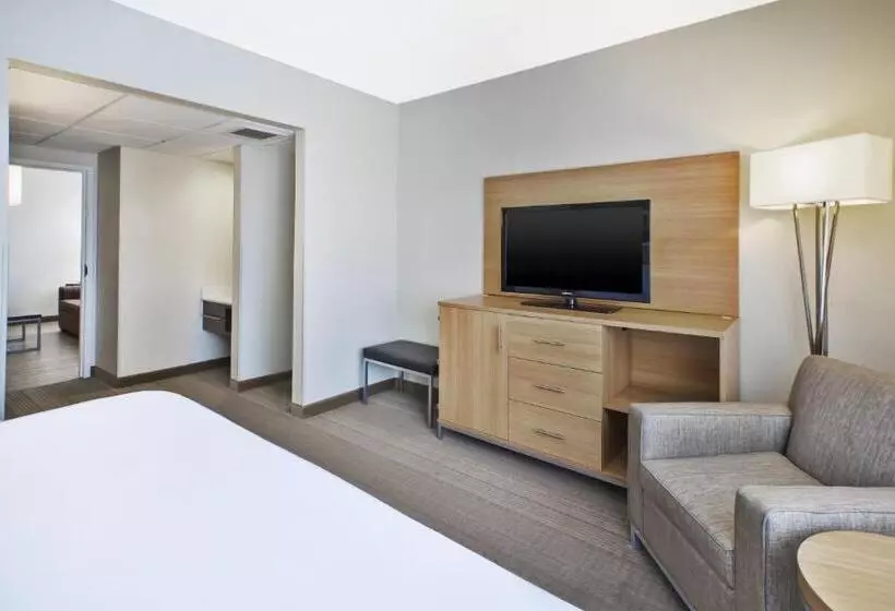 سوئیت با تخت بزرگ, Holiday Inn Rapid City Rushmore Plaza, An Ihg