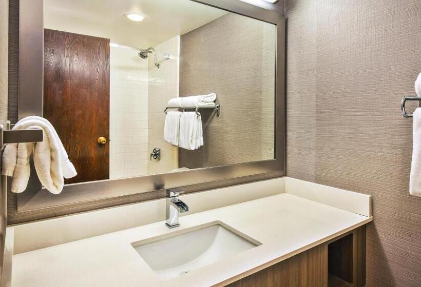 חדר סטנדרט, Holiday Inn Rapid City   Rushmore Plaza, An Ihg