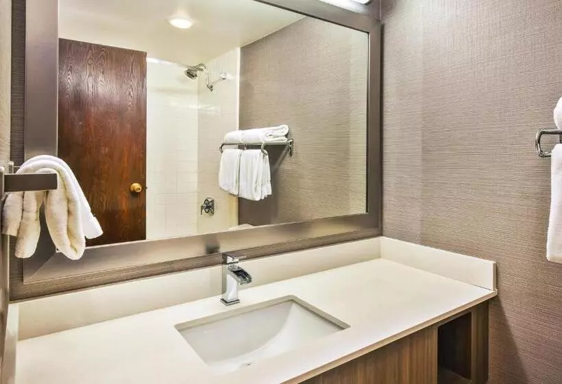اتاق استاندارد, Holiday Inn Rapid City Rushmore Plaza, An Ihg