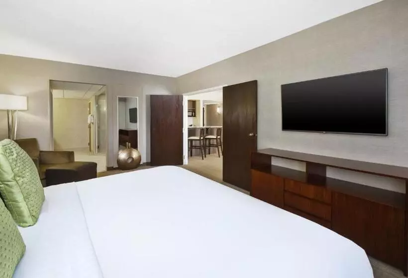 سوئیت با تخت بزرگ, Holiday Inn Rapid City Rushmore Plaza, An Ihg