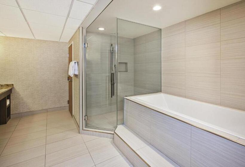 Люкс Кровать Кинг, Holiday Inn Rapid City   Rushmore Plaza, An Ihg