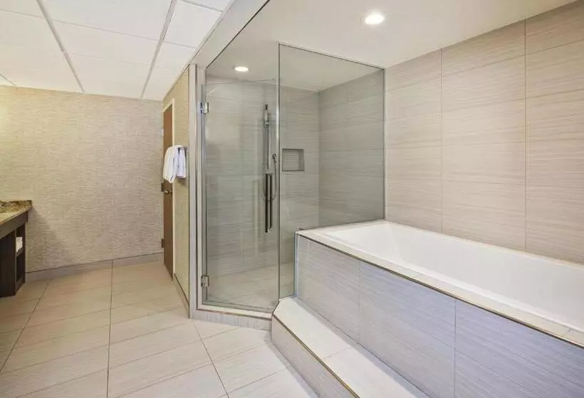 سوئیت با تخت بزرگ, Holiday Inn Rapid City Rushmore Plaza, An Ihg