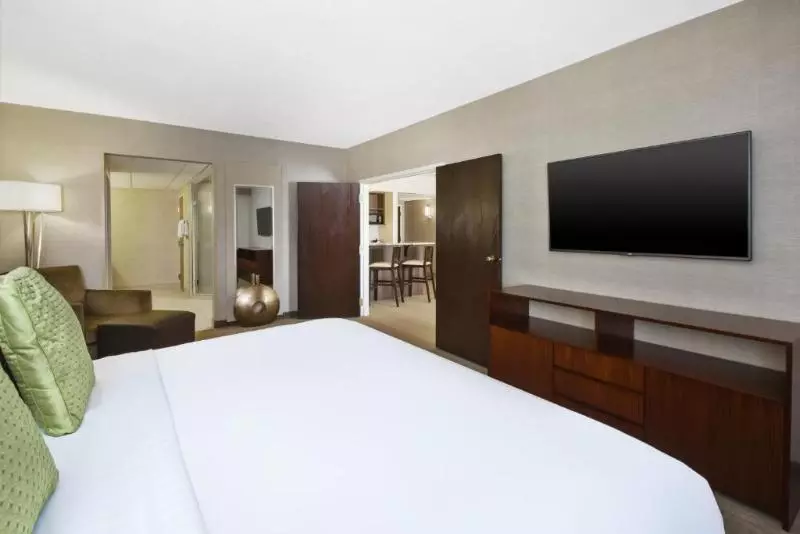 سوئیت با تخت بزرگ, Holiday Inn Rapid City Rushmore Plaza, An Ihg