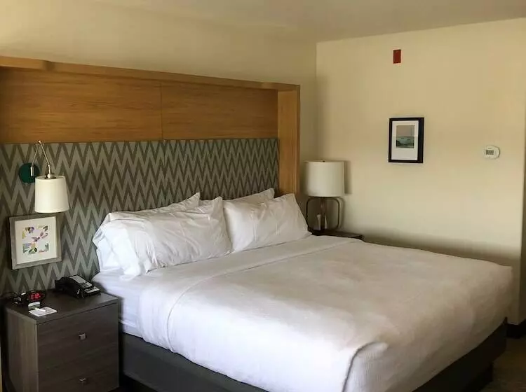 سوییت, Holiday Inn Selma   Swancourt By Ihg