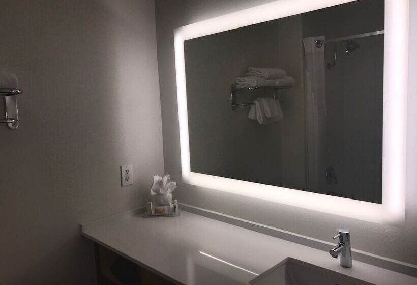 סוויטה, Holiday Inn Selma Swancourt By Ihg