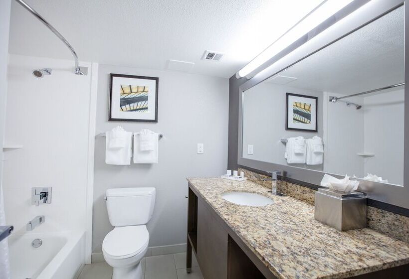 스탠다드 룸, Holiday Inn St Louis Sw   Route 66, An Ihg