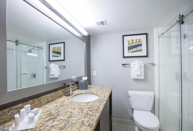 스탠다드 룸, Holiday Inn St Louis Sw   Route 66, An Ihg