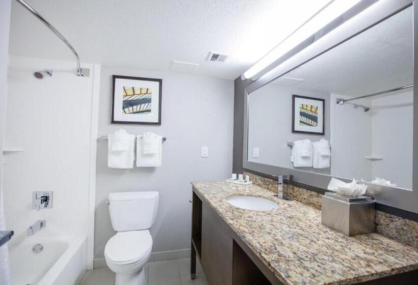 스탠다드 룸 킹사이즈 침대, Holiday Inn St Louis Sw   Route 66, An Ihg