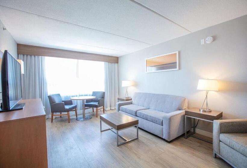 스탠다드 룸 킹사이즈 침대, Holiday Inn St Louis Sw   Route 66, An Ihg