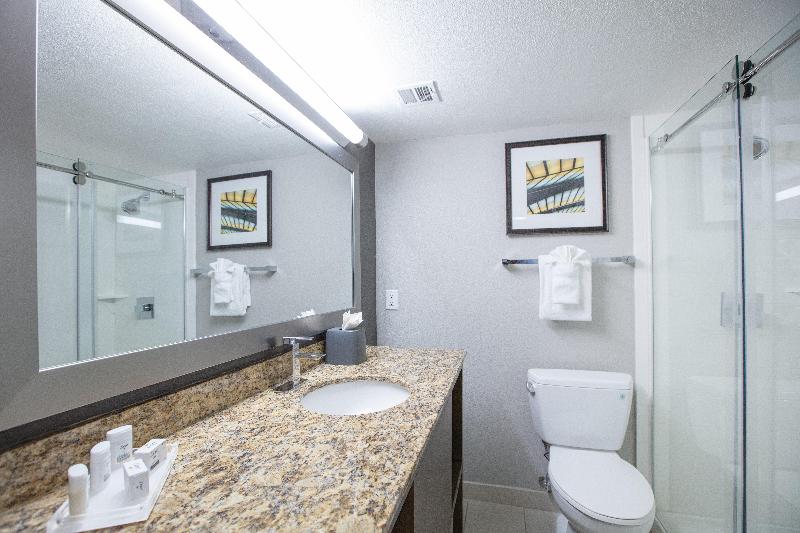 스위트 킹사이즈 침대, Holiday Inn St Louis Sw   Route 66, An Ihg