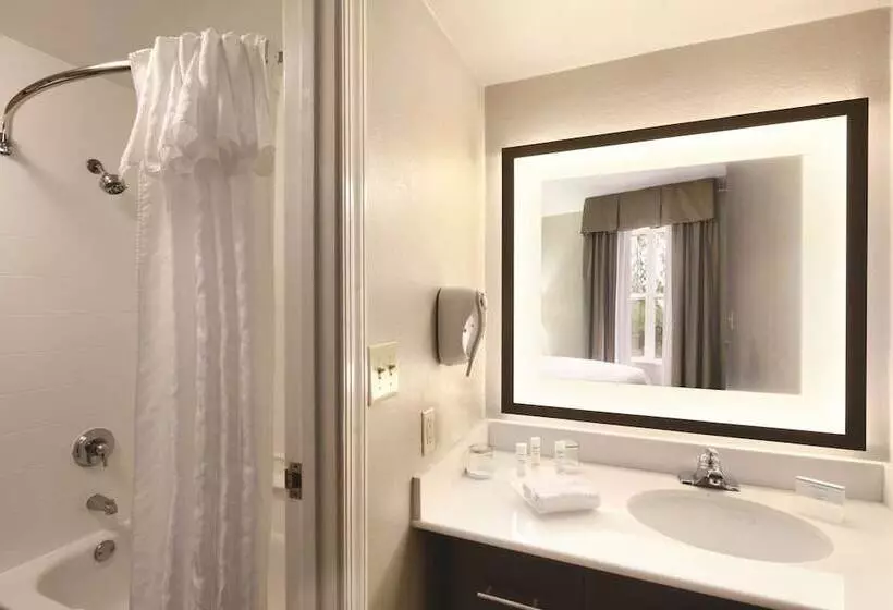 デラックススイート, Homewood Suites By Hilton Atlantaalpharetta