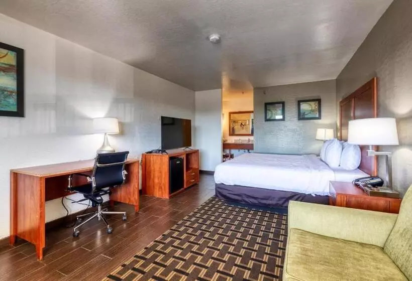 スーペリアールーム, The Hotel Serene Glendale Peoria, Surestay Collection By Best Western