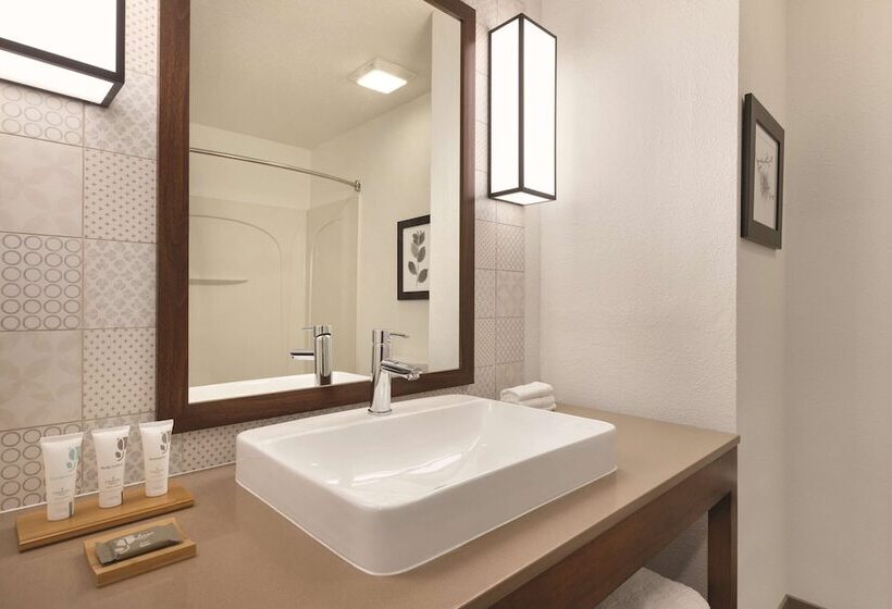 חדר סטנדרט מותאם לאדם עם מוגבלויות, Country Inn & Suites By Radisson, Rj Stadium   Tampa Airport East