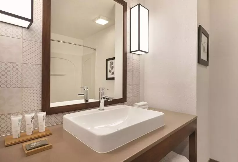 身障者適用スタンダードルーム, Country Inn & Suites By Radisson, Rj Stadium   Tampa Airport East