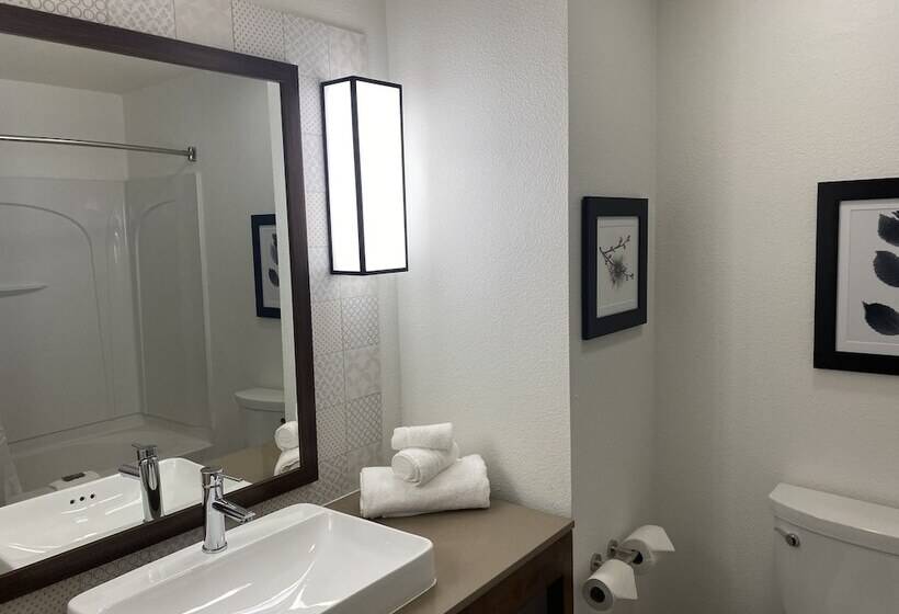 Номер Стандарт Адаптированный для Инвалидов, Country Inn & Suites By Radisson, Rj Stadium   Tampa Airport East