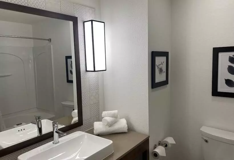 身障者適用スタンダードルーム, Country Inn & Suites By Radisson, Rj Stadium   Tampa Airport East