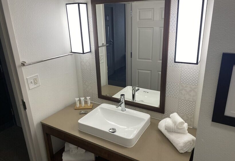 חדר סטנדרט מותאם לאדם עם מוגבלויות, Country Inn & Suites By Radisson, Rj Stadium   Tampa Airport East