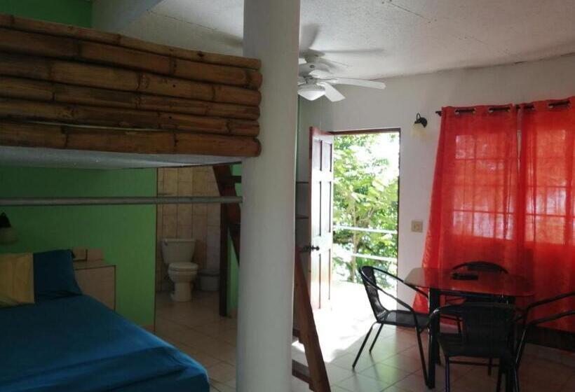 Четырехместный номер Премиум, Boca Brava Lodge