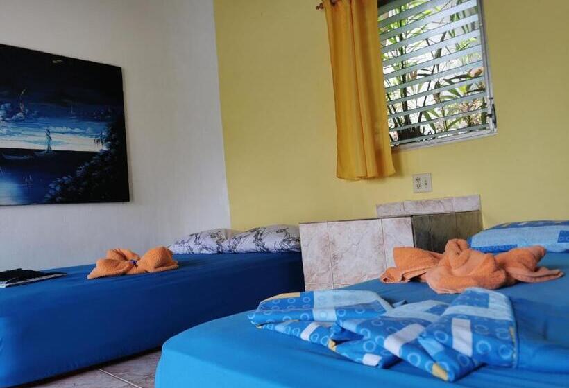 Четырехместный номер эконом класса с общей ванной комнатой, Boca Brava Lodge