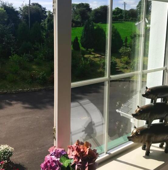 غرفة ديلوكس, The Happy Pig