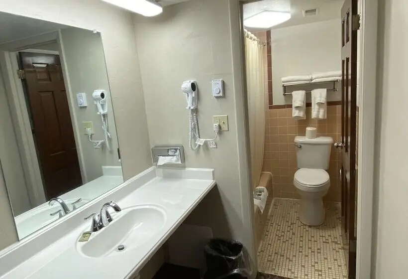 スタンダードシングルルーム, Dunes Inn Alamosa