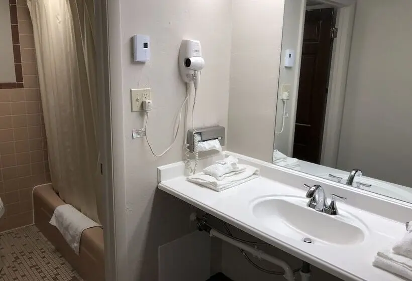 スタンダードシングルルーム, Dunes Inn Alamosa