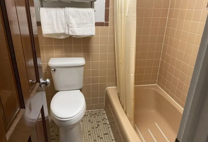 スタンダードシングルルーム, Dunes Inn Alamosa