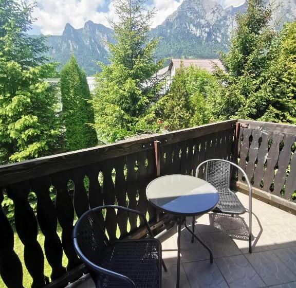 חדר סטנדרט, Pensiunea Raisa