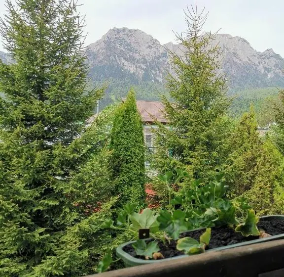 Standard-huone, Pensiunea Raisa