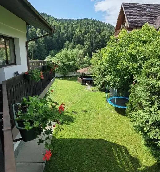 Standard-huone, Pensiunea Raisa