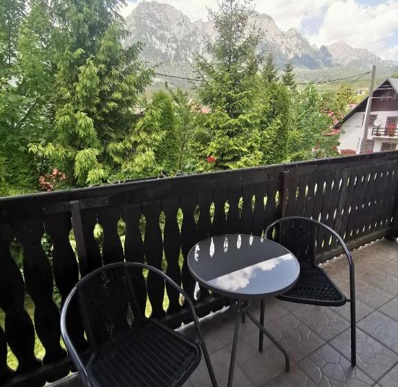 חדר סטנדרט, Pensiunea Raisa