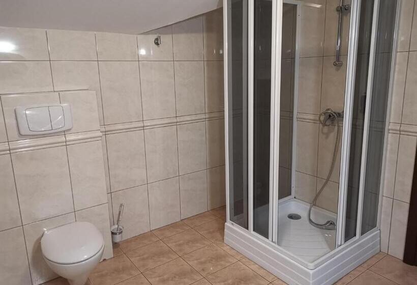 חדר סופריור עם מיטת קינג, Pensiunea Raisa