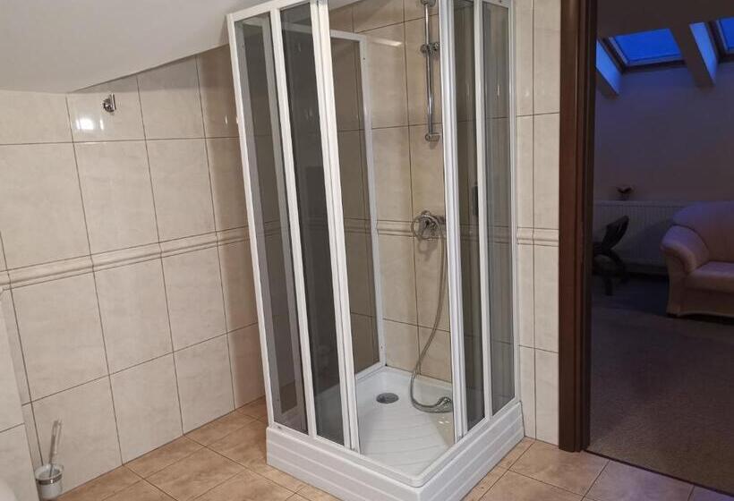 חדר סופריור עם מיטת קינג, Pensiunea Raisa