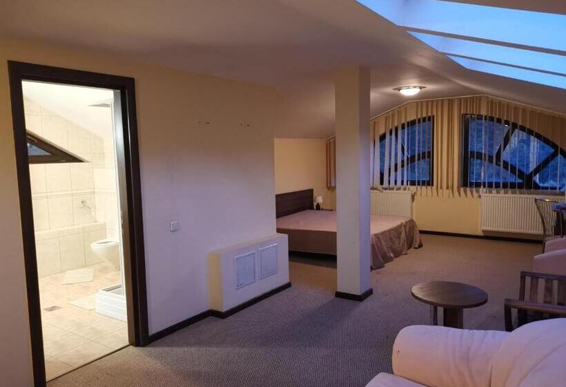 חדר סופריור עם מיטת קינג, Pensiunea Raisa