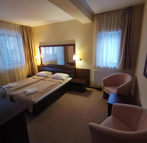 חדר סטנדרט, Pensiunea Raisa