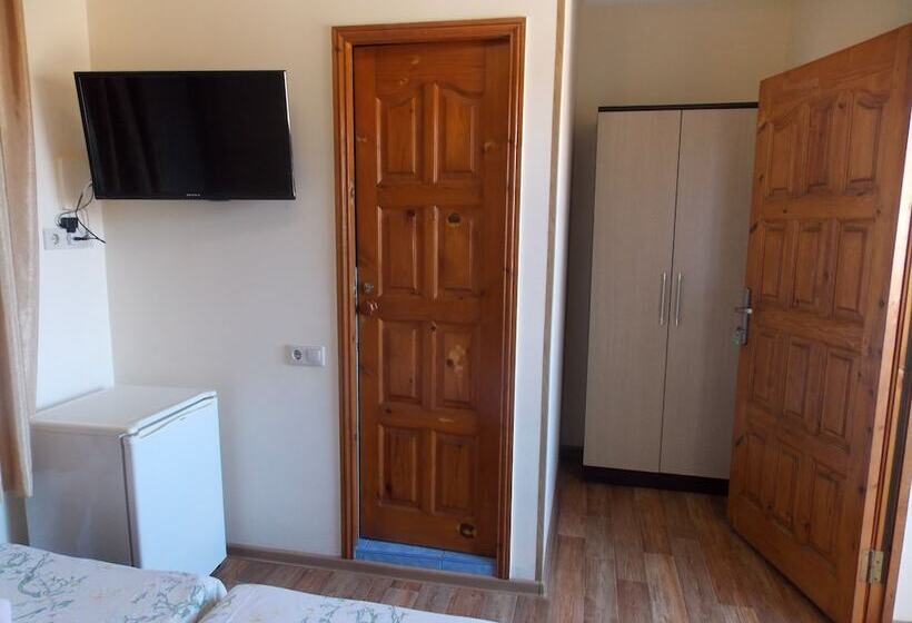 اتاق استاندارد, Anzhelika